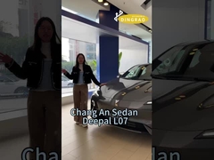 Changan profondo L 07
