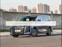 Ultima BYD Xia MPV Nuova Energia Ibrida Benzina Benzina 1.5T Auto EV Ibrida