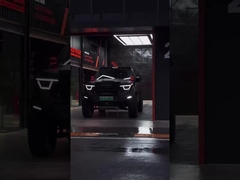 385Nm 185KW 252Ps 4WD 5 posti 5 porte 2.0T Serbatoio 400 SUV Benzina Carro nuovo