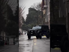 Buone condizioni Nuova versione 3.0T Serbatoio 300 SUV 4WD Ibrido EV Benzina Nuova auto