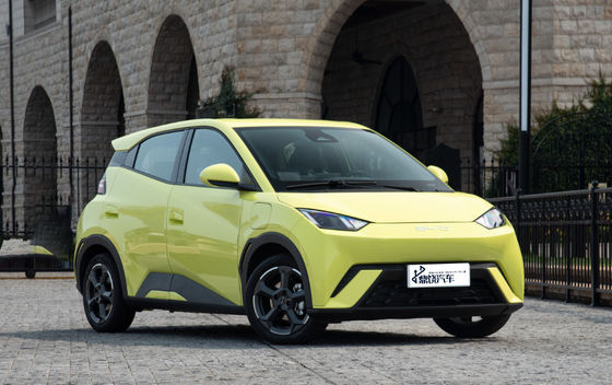Fabbrica di tecnologia intelligente BYD EV Car Seagull 5Door 4Seater 2Box Sedan Pure New Energy Mini EV Nuova auto