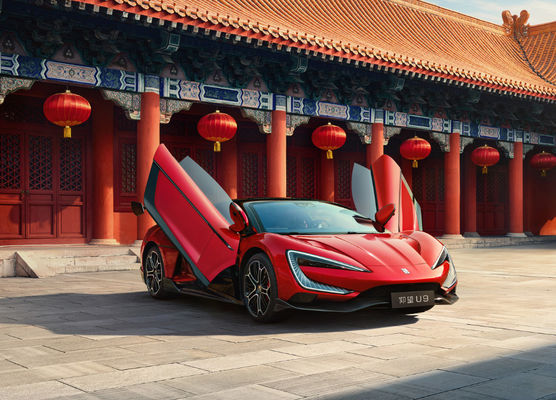 Cina Sconto Per Adulti Personale BYD EV Auto 450Km Nuova Energia Pura Veicolo Elettrico EV Nuova Auto