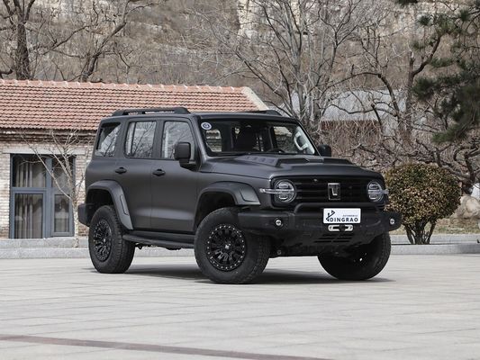 2025 4WD Energy Hybrid 3.0T Tank 300 SUV 500Nm 265KW 360Ps Gas Car con 105Km Pure Electric Range Interno nero / grigio