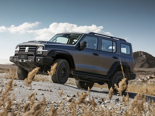Buone condizioni Nuova versione 3.0T Serbatoio 300 SUV 4WD Ibrido EV Benzina Nuova auto