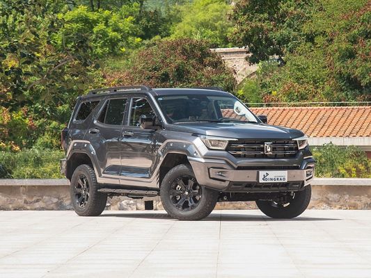 Esporta Luxury Made in China Competitive 4WD New Energy Hybrid EV Fuel Nuova auto